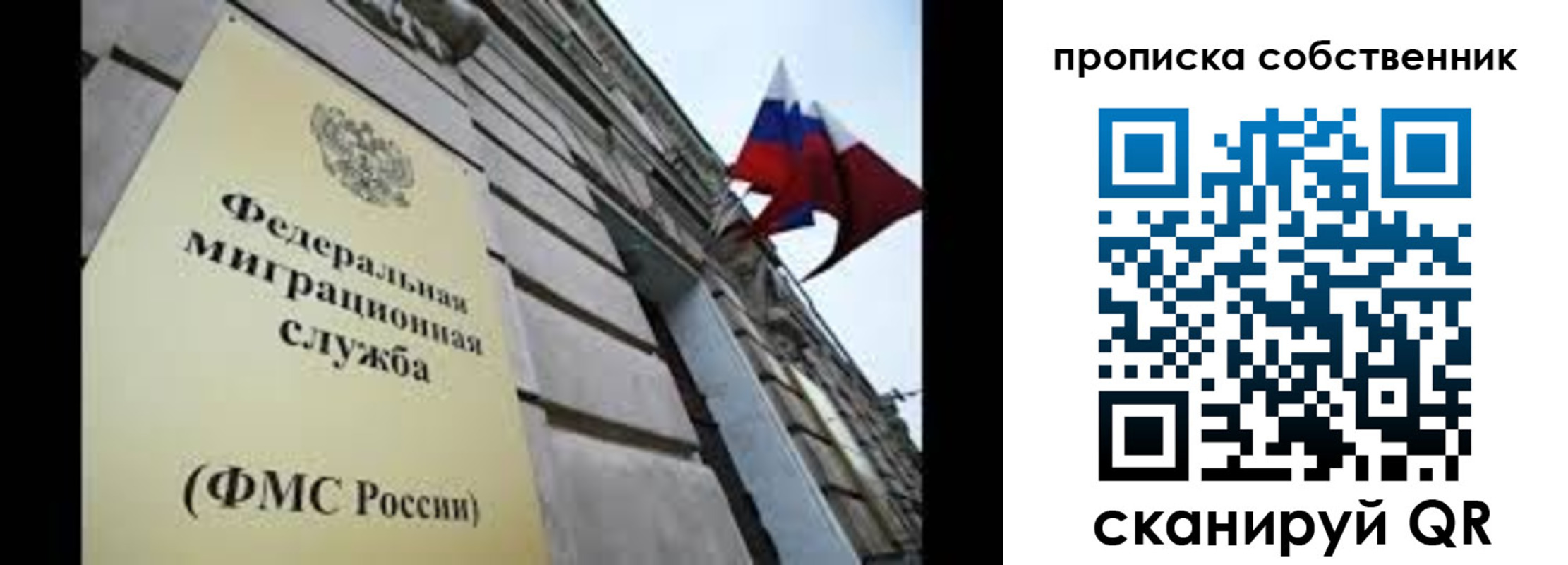 прописка гарантия в Краснокамске